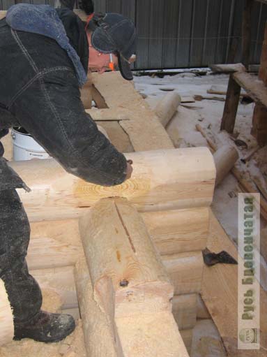 Processing of logs by antiseptic 