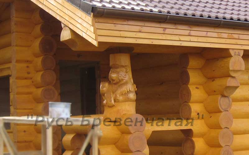 Фото мишки на фоне бани из сруба, подведенной под крышу с отшлифованными и покрашенными стенами