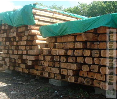 Preparation and storage of winter wood 
