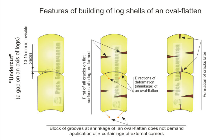 Features of oval-flatten shrinkages